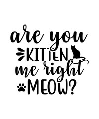 Are you kitten me right meow? - funny cat lover vector - digital clipart , t-shirt design, instant download (svg, dxf, png)Life is better with a cat SVG File Instant Download Cat Lover SVG png pdf eps