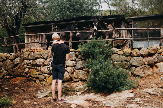 Father and son looking at the donkeys in a rural area of Ibiza, Spain