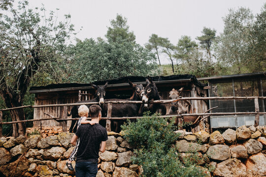 Father and son looking at the donkeys in a rural area of Ibiza, Spain