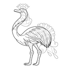 Contour linear illustration with bird for coloring book. Cute ostrich, anti stress picture. Line art design for adult or kids  in zentangle style and coloring page.