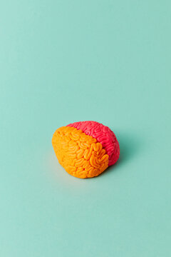 Colored brain on green background
