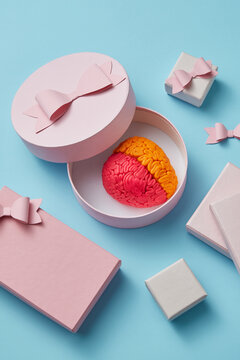 Colored brain in gift box