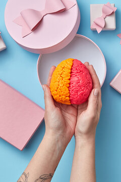 Woman putting brain in box