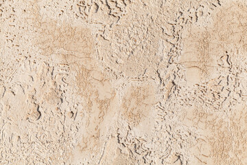 Shelly limestone. Background photo texture