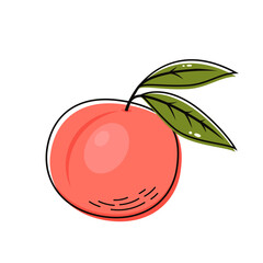Peach vector. Peach heart vector. Peach on white background. Peach logo design.