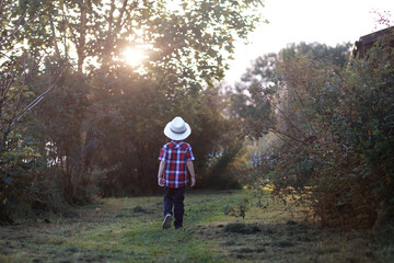 Obraz premium Leaf fall in the park. Children for a walk in the autumn park. Family. Fall. Happiness.