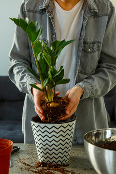 Crop woman uprooting plant on table