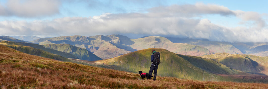 Walker and his dogs on High Raise at sunrise. Lake District, Cumbria, UK.