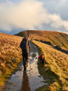 Walker and his dogs on route to High Street and High Raise at sunset.