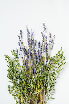 A Bundle of Herbs on a White Background