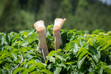 Vom Himmel gefallen ...