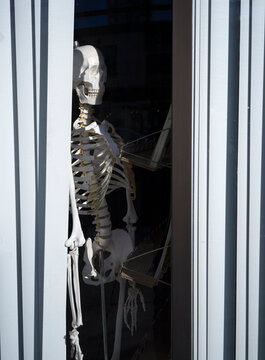 A skeleton in a window.
