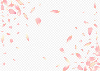 Color Petal Vector Transparent Background. Leaf