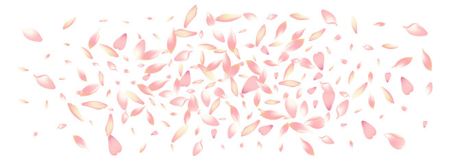 White Sakura Petal Vector Panoramic Background.