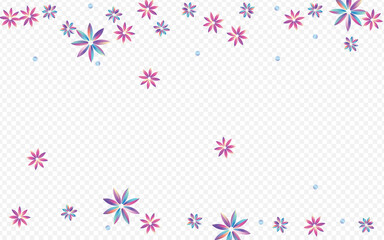 Rainbow Flower Exotic Transparent Background.