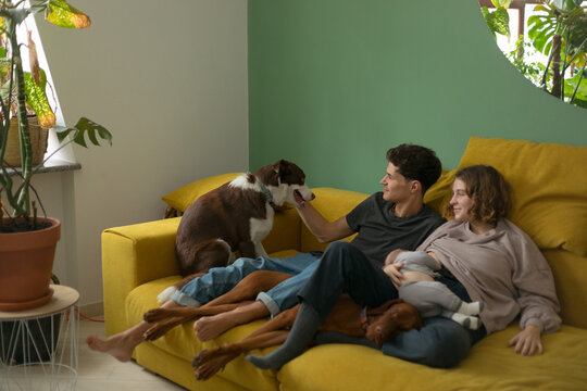 the family is sitting on the sofa and relaxing in an atmosphere of love
