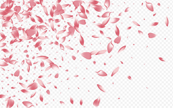 Light Rosa Vector Transparent Background. Heart