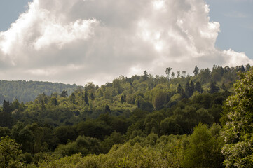Krajobraz górski las wierzchołki drzew z dalekiej perspektywy	na tle zachmurzonego nieba
