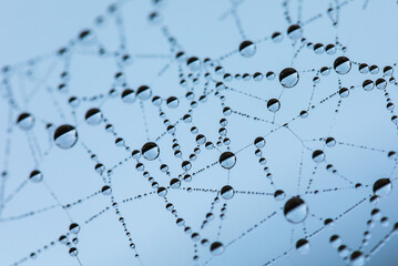 Gossamer droplets
