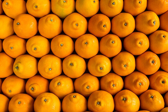 Oranges