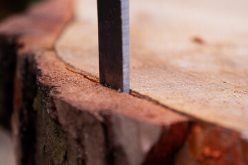 Close up shot of a woman removing bark and sculpting wood from a log using a chisel