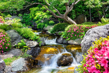 River cascade in a spring japanese garden - obrazy, fototapety, plakaty