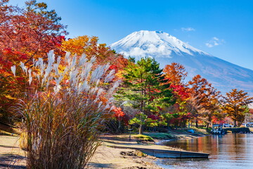 富士山と紅葉　山梨県南都留郡山中湖にて