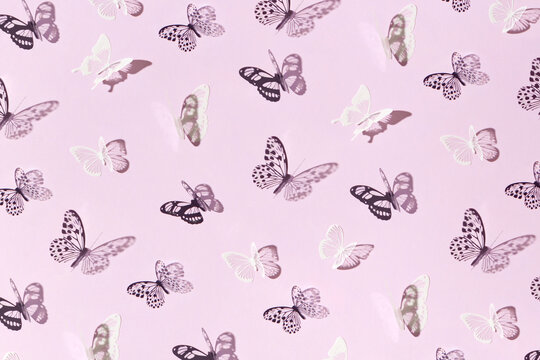 Paper butterflies on pink