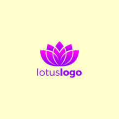 Lotus Logo With Pink Color