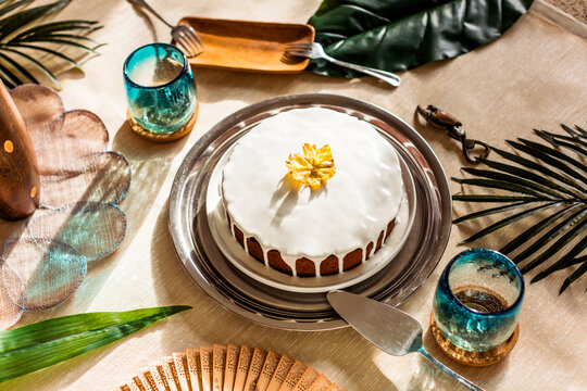 Tropical Picnic