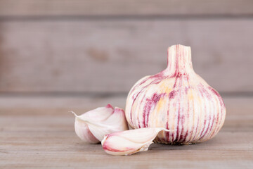 Freshly harvested undried garlic