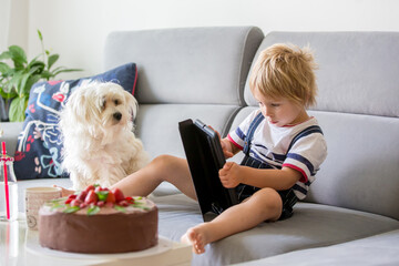Little toddler child, blond boy, watching movie at home on tablet
