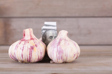 Dollar bills hidden in freshly harvested garlic