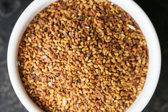 Alfalfa seeds