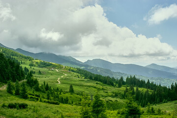Fototapeta na wymiar Summer landscape in carpathian mountains with cloudy sky. Carpathian, Ukraine, Europe.