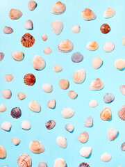 Fototapeta na wymiar Sea shells pattern on blue background. Flat lay, top view.