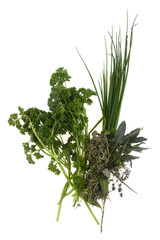 Persil, ciboulette, laurier et thym en gros plan sur fond blanc