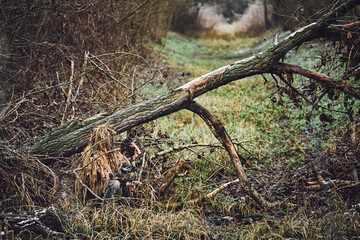 Bow hunter in ghillie suit