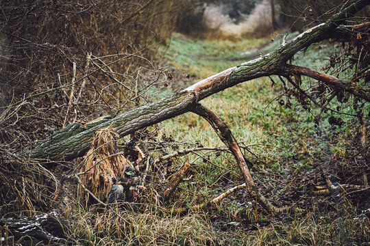 Bow hunter in ghillie suit