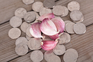 Obraz na płótnie Canvas Garlic cloves on a pile of dollar coins