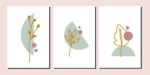 Set three of leafs and flowers wall art. Minimal wall decor. Plant or bontanical flowers wall Decorations. Greetings cards invitation background Wallpaper poster social media.