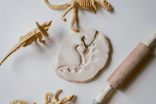 children's educational dinosaur activity