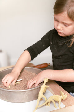 dinosaur excavation science 2