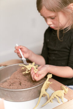 dinosaur excavation science 