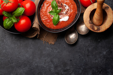 Cold gazpacho soup with fresh garden tomatoes