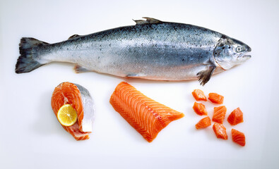 Fresh salmon fish