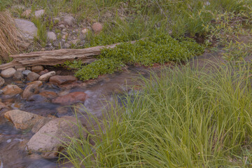 a rocky stream moves along through its narrow waterway, making peaceful sounds in nature