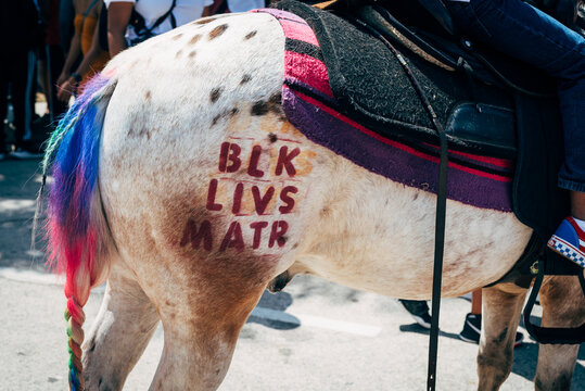BLK LIVS MATR