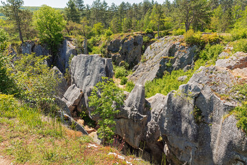 Overview of the Fondry des chiens in Nismes; Fondry comes from the French fonderie because iron ore from the sinkhole was melted.