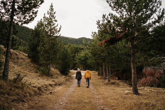 Couple with wolf dogs walking on a forest path